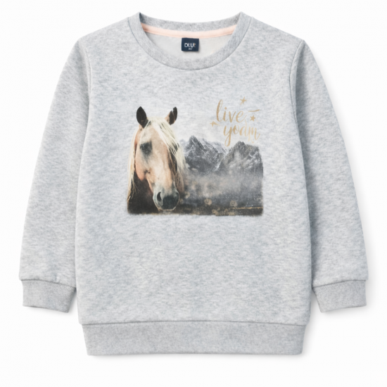 Pelēks hudijs meitenēm ar zirga apdruku