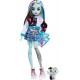 Lelle Monster High Frenkija ar aksesuāri un mājdzīvnieku HHK53