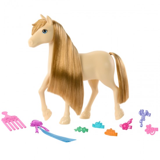 BARBIE ponijs un aksesuāriem HXJ29 BARBIE ponijs un aksesuāriem HXJ29