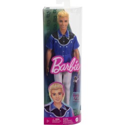 BARBIE Fashionistas lelle  Kens,  HRH25