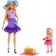 BARBIE lelle un aksesuāri, rotaļu komplekts, JBF43 BARBIE lelle un aksesuāri, rotaļu komplekts, JBF43