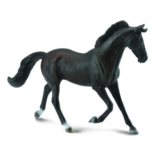 COLLECTA (XL) Thoroughbred mare black