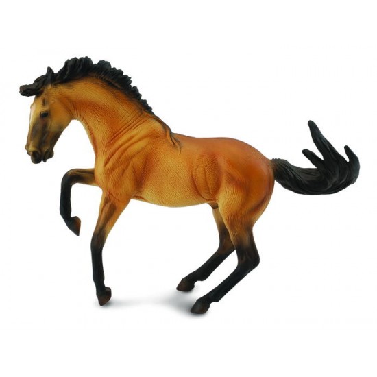 COLLECTA (XL) Lusitano briežkrāsas ērzeLIS