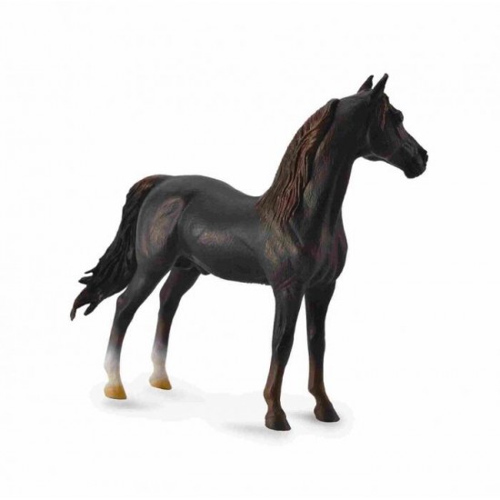 COLLECTA (XL) Morgan's horse - burial