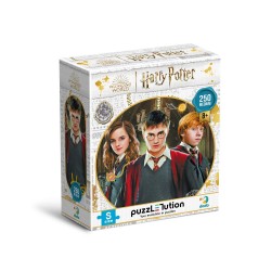 Attīstošā puzle Medium-S Harry Potter Harry and friends 250 pcs. 200498
