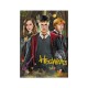Attīstošā puzle Medium-S Harry Potter Harry and friends 250 pcs. 200498 Attīstošā puzle Medium-S Harry Potter Harry and friends 250 pcs. 200498
