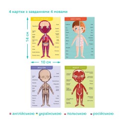 Educational magnetic puzzles Magnetic game Body