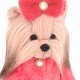 LUCKY DOGGY  apģērbu komplekts : Modes nedēļa L092
