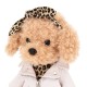 Mīkstā rotaļlieta Sunītis Lucky Fendi dāvanu kastē - Žurnāla vāka tēls no kolekcijas Lucky Doggy, 37cm, LD6/126 Mīkstā rotaļlieta Sunītis Lucky Fendi dāvanu kastē - Žurnāla vāka tēls no kolekcijas Lucky Doggy, 37cm, LD6/126