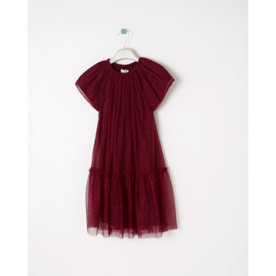 Drop waist dress with cap sleeves and a sparkling tulle overlay.