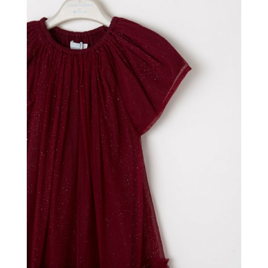 Drop waist dress with cap sleeves and a sparkling tulle overlay.