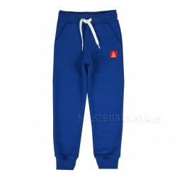 Boys' thin sweatpants blue 92-110cm